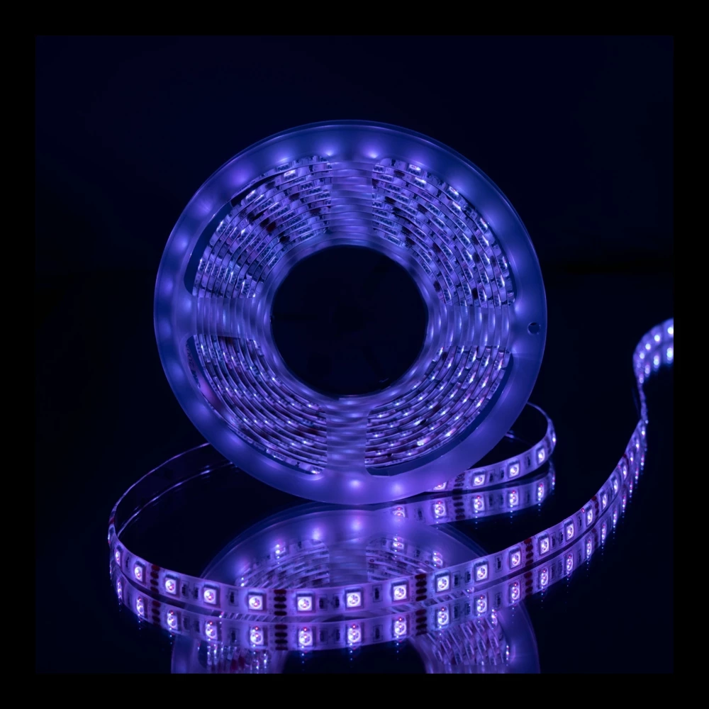 Charlotte Bronte Seminarie Zinloos COMPLETE LED Strip RGB | 5Mtr | 60 LEDS | Incl. afstandsbediening | LedLoket